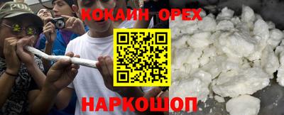крисы Новодвинск