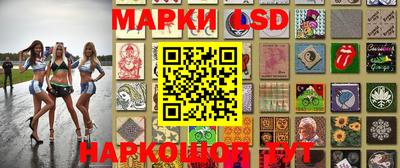 крисы Новодвинск