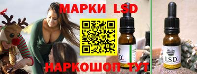 крисы Новодвинск