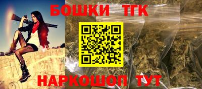 крисы Новодвинск
