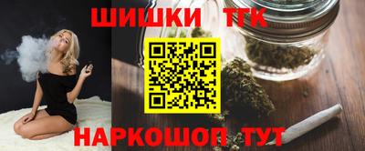 крисы Новодвинск