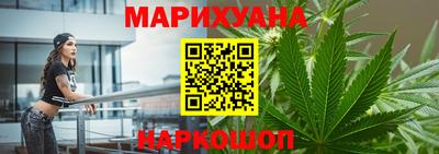 крисы Новодвинск