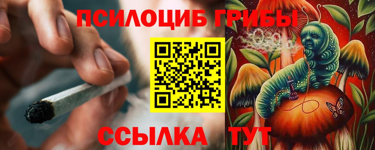 Тольятти  где можно купить   Вход с VPN  Галлюциногенные грибы MAGIC MUSHROOMS  Псилоцибиновые грибы Magic Shrooms 